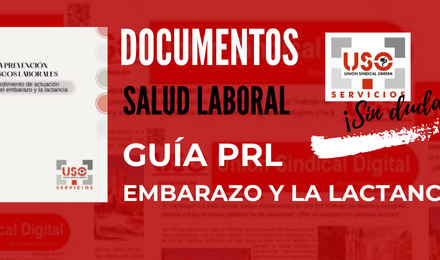 Guía de PRL, embarazo y lactancia