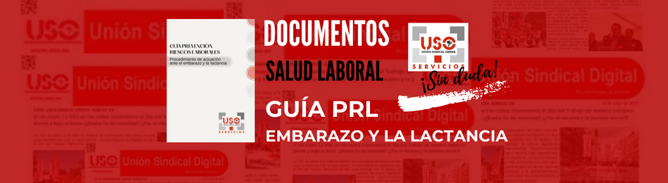 Guía de PRL, embarazo y lactancia